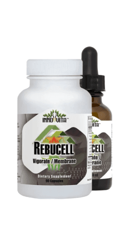 Rebucell Vigorate/Membrane 1 oz Tincture